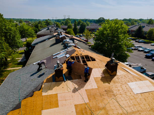 Best Roof Gutter Cleaning  in George Mason, VA