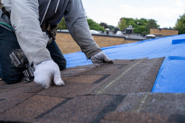 Best Roof Inspection Near Me  in George Mason, VA